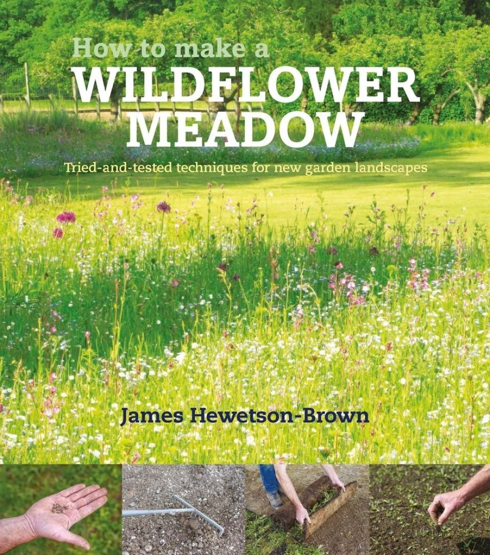 How To Make A Wildflower Meadow 3 How To Make A Wildflower Meadow