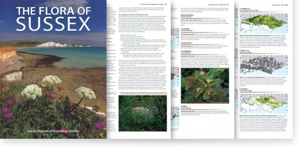 The Flora Of Sussex 3 The Flora Of Sussex