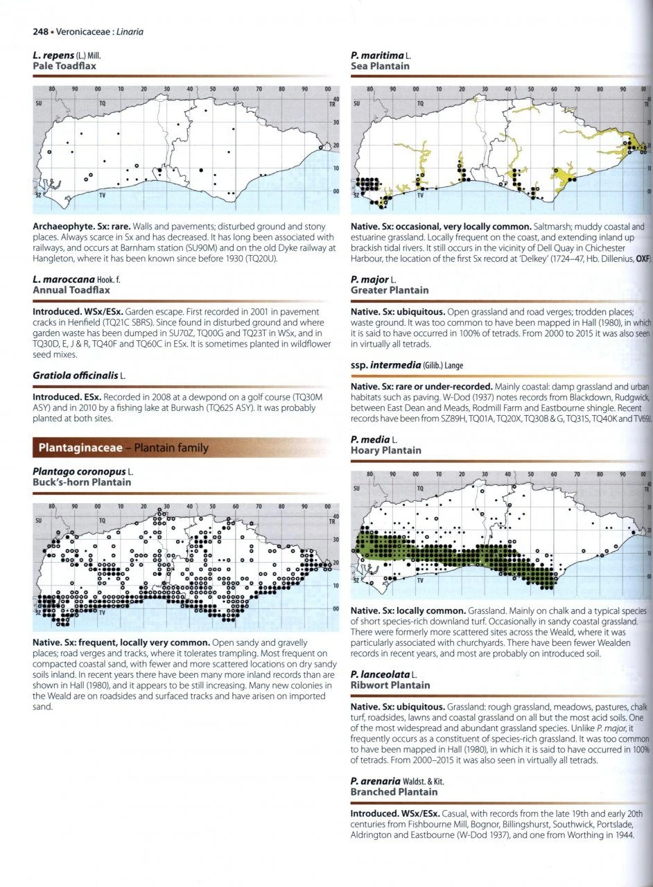 The Flora Of Sussex 6 The Flora Of Sussex - Image 4