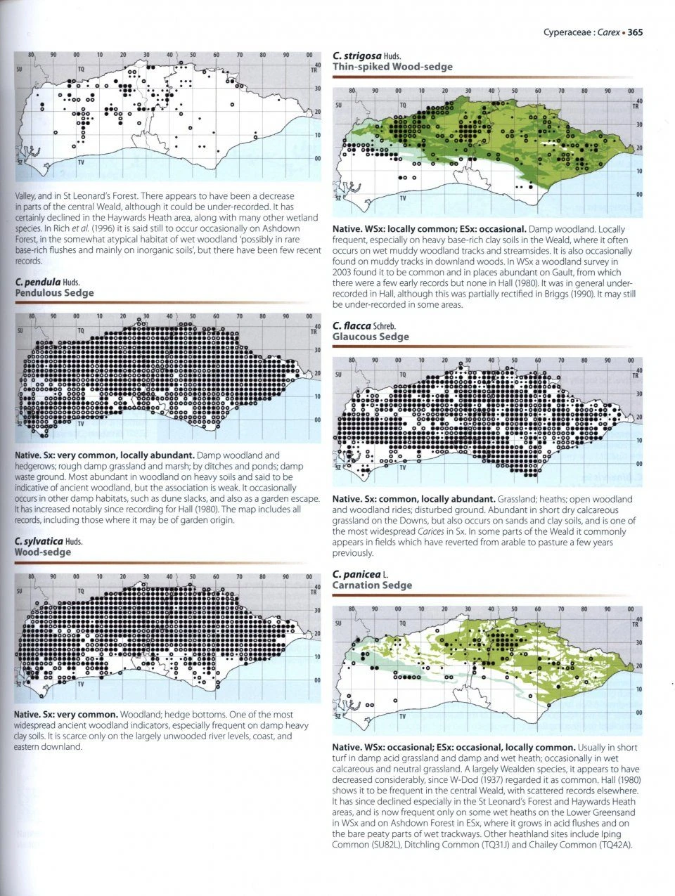 The Flora Of Sussex 7 The Flora Of Sussex - Image 5
