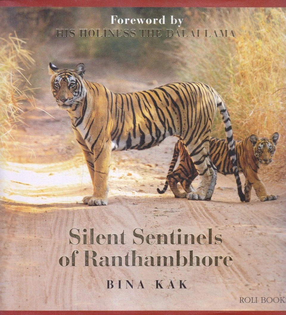 Silent Sentinels Of Ranthambhore 3 Silent Sentinels Of Ranthambhore