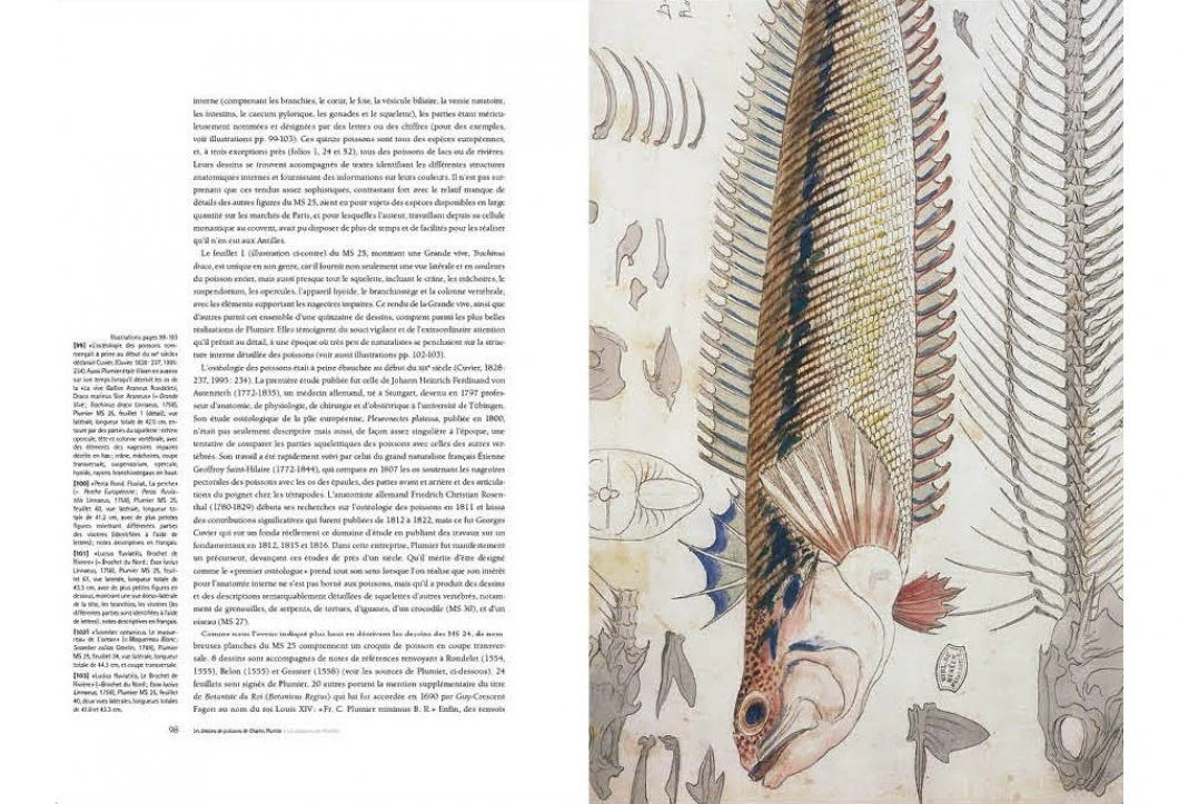 Charles Plumier (1646-1704) And His Drawings Of French And Caribbean Fishes / Charles Plumier (1646-1704) Et Ses Dessins De Poissons De France Et Des Antilles 5 Charles Plumier (1646-1704) And His Drawings Of French And Caribbean Fishes / Charles Plumier (1646-1704) Et Ses Dessins De Poissons De France Et Des Antilles - Image 3