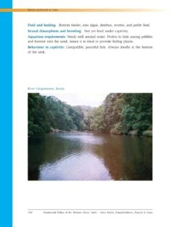 Ornamental Fishes Of The Western Ghats Of India -Wildlife Professional Books 238487 3