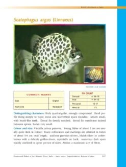 Ornamental Fishes Of The Western Ghats Of India -Wildlife Professional Books 238487 5