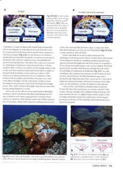 Living Shores -Wildlife Professional Books 238689 2