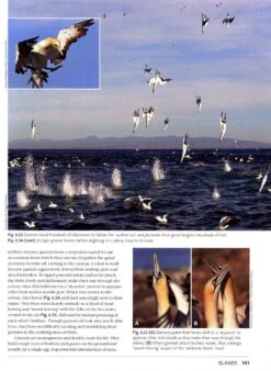 Living Shores -Wildlife Professional Books 238689 6