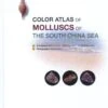 Color Atlas Of Molluscs Of The South China Sea 2 Color Atlas Of Molluscs Of The South China Sea -Wildlife Professional Books 238772