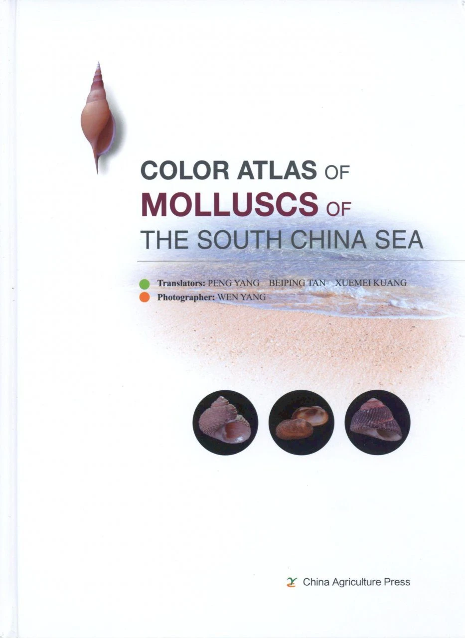 Color Atlas Of Molluscs Of The South China Sea 3 Color Atlas Of Molluscs Of The South China Sea