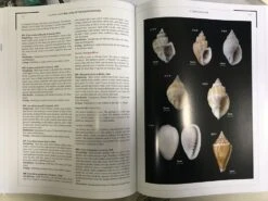 Color Atlas Of Molluscs Of The South China Sea 5 Color Atlas Of Molluscs Of The South China Sea -Wildlife Professional Books 238772 1