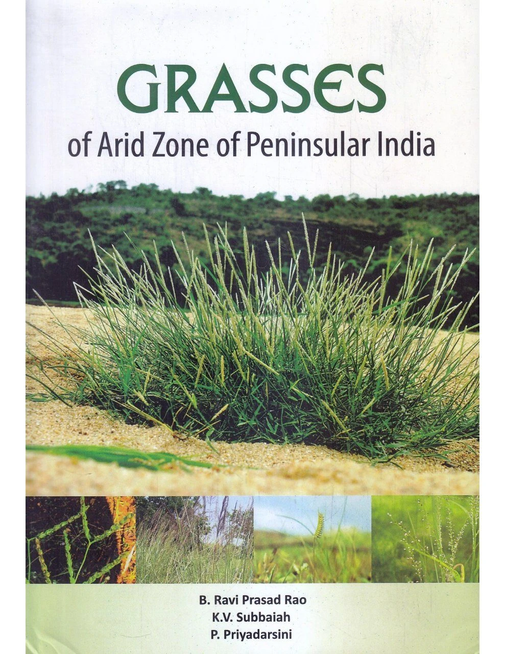 Grasses Of Arid Zone Of Peninsular India 3 Grasses Of Arid Zone Of Peninsular India