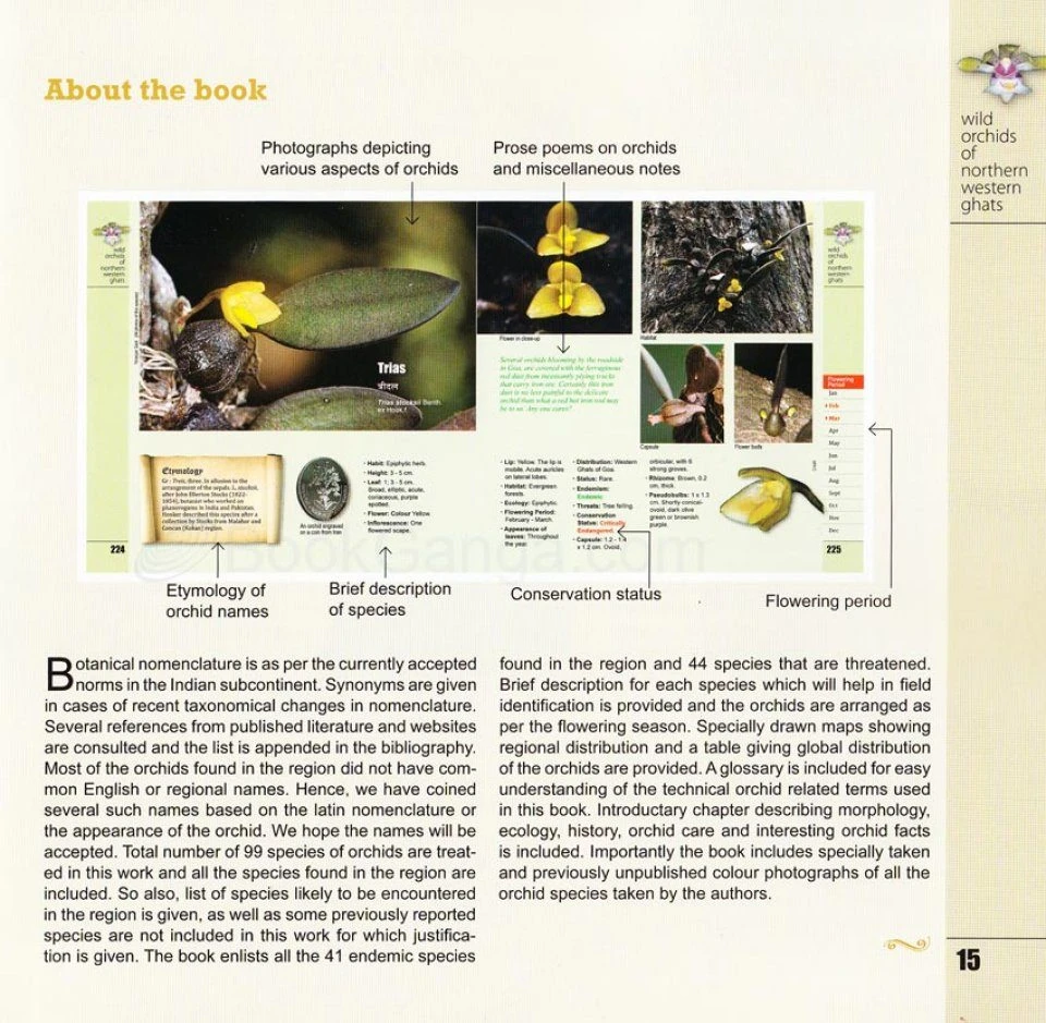 Wild Orchids Of Northern Western Ghats (Including Maharashtra, Goa And Belgaum) 4 Wild Orchids Of Northern Western Ghats (Including Maharashtra, Goa And Belgaum) - Image 2