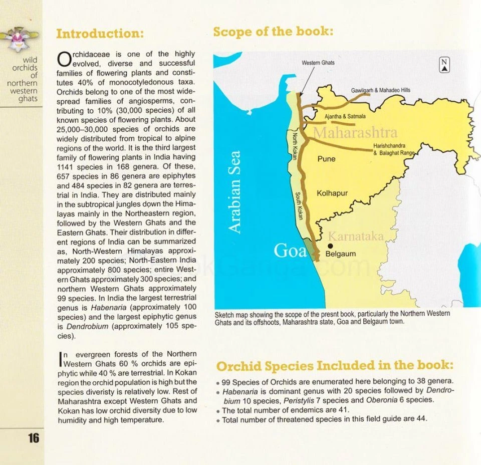 Wild Orchids Of Northern Western Ghats (Including Maharashtra, Goa And Belgaum) 5 Wild Orchids Of Northern Western Ghats (Including Maharashtra, Goa And Belgaum) - Image 3
