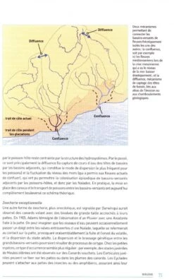 Naïades Et Autres Bivalves D'Eau Douce De France [Naiades And Other Freshwater Bivalves Of France] -Wildlife Professional Books 239318 2