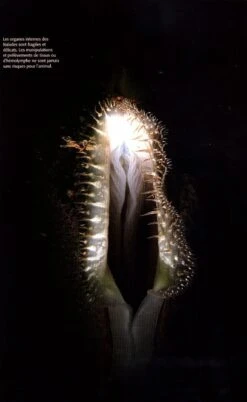 Naïades Et Autres Bivalves D'Eau Douce De France [Naiades And Other Freshwater Bivalves Of France] -Wildlife Professional Books 239318 3