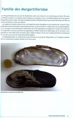 Naïades Et Autres Bivalves D'Eau Douce De France [Naiades And Other Freshwater Bivalves Of France] -Wildlife Professional Books 239318 4