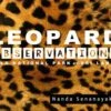Leopard Observations 2 Leopard Observations -Wildlife Professional Books 239340