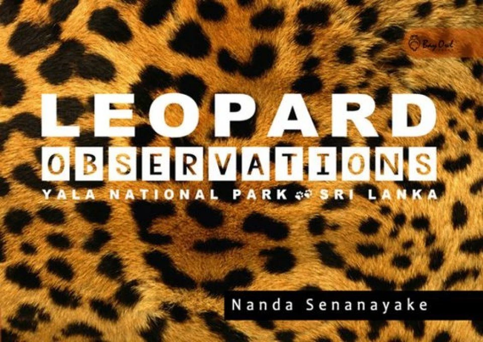 Leopard Observations 3 Leopard Observations