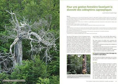 Les Invertébrés Dans La Conservation Et La Gestion Des Espaces Naturels: Actes Du Colloque De Toulouse Du 13 Au 16 Mai 2015 4 Les Invertébrés Dans La Conservation Et La Gestion Des Espaces Naturels: Actes Du Colloque De Toulouse Du 13 Au 16 Mai 2015 - Image 2