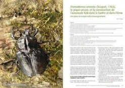 Les Invertébrés Dans La Conservation Et La Gestion Des Espaces Naturels: Actes Du Colloque De Toulouse Du 13 Au 16 Mai 2015 9 Les Invertébrés Dans La Conservation Et La Gestion Des Espaces Naturels: Actes Du Colloque De Toulouse Du 13 Au 16 Mai 2015 -Wildlife Professional Books 239431 2