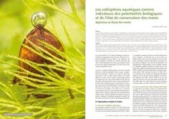 Les Invertébrés Dans La Conservation Et La Gestion Des Espaces Naturels: Actes Du Colloque De Toulouse Du 13 Au 16 Mai 2015 10 Les Invertébrés Dans La Conservation Et La Gestion Des Espaces Naturels: Actes Du Colloque De Toulouse Du 13 Au 16 Mai 2015 -Wildlife Professional Books 239431 3