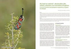 Les Invertébrés Dans La Conservation Et La Gestion Des Espaces Naturels: Actes Du Colloque De Toulouse Du 13 Au 16 Mai 2015 11 Les Invertébrés Dans La Conservation Et La Gestion Des Espaces Naturels: Actes Du Colloque De Toulouse Du 13 Au 16 Mai 2015 -Wildlife Professional Books 239431 4