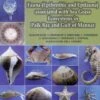 Fauna (Epibenthic And Epifauna) Associated With Sea Grass Ecosystems In Palk Bay And Gulf Of Mannar 2 Fauna (Epibenthic And Epifauna) Associated With Sea Grass Ecosystems In Palk Bay And Gulf Of Mannar -Wildlife Professional Books 239560