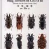 Stag Beetles Of China, Volume 3 2 Stag Beetles Of China, Volume 3 -Wildlife Professional Books 239618