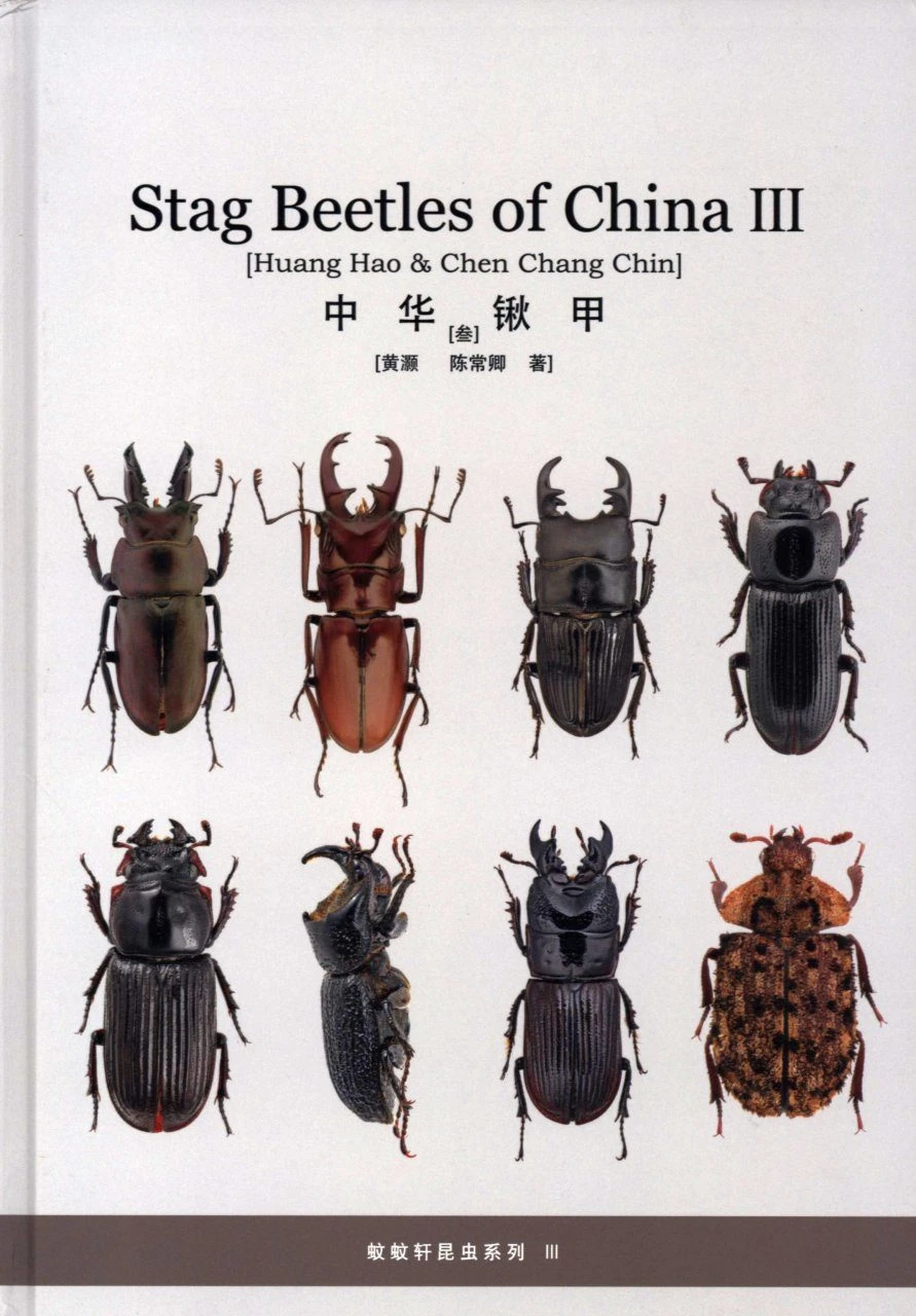 Stag Beetles Of China, Volume 3 3 Stag Beetles Of China, Volume 3