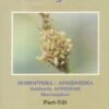 Fauna Of India And The Adjacent Countries: Homoptera: Aphidoidea, Part 7/2 2 Fauna Of India And The Adjacent Countries: Homoptera: Aphidoidea, Part 7/2 -Wildlife Professional Books 239715
