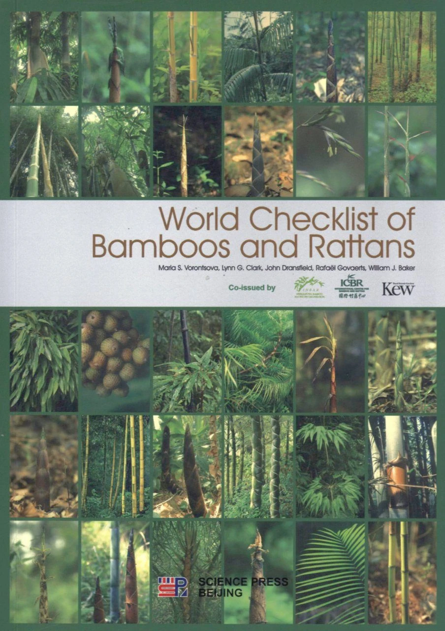 World Checklist Of Bamboos And Rattans 3 World Checklist Of Bamboos And Rattans