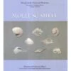 Mollusc Shells In Bangladesh National Museum 1 Mollusc Shells In Bangladesh National Museum -Wildlife Professional Books 240892