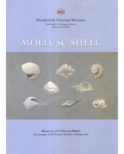 Mollusc Shells In Bangladesh National Museum
