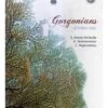 Gorgonians Of Indian Seas 2 Gorgonians Of Indian Seas -Wildlife Professional Books 241048