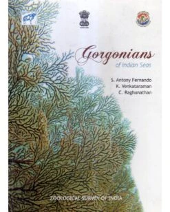 Gorgonians Of Indian Seas