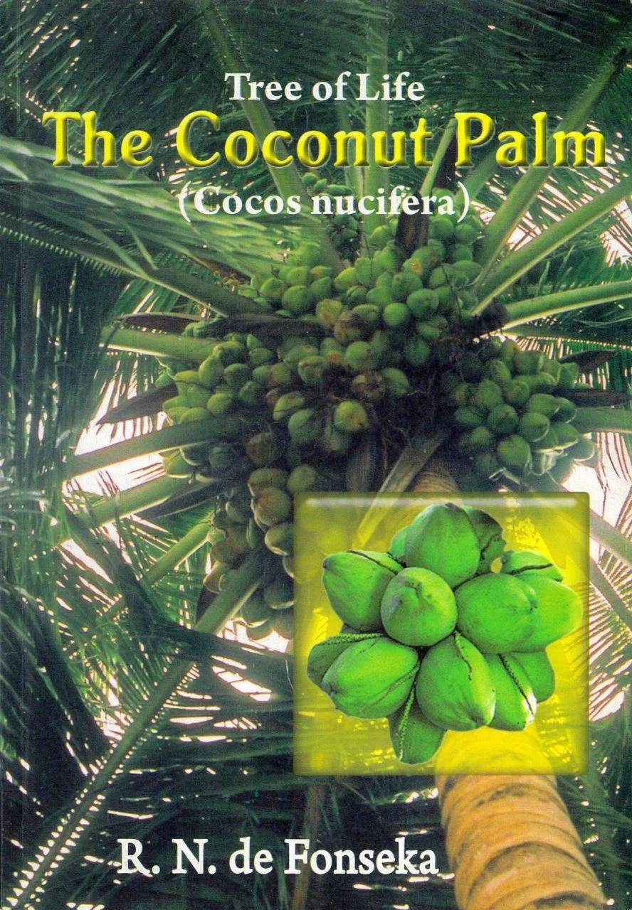 Tree Of Life 3 Tree Of Life