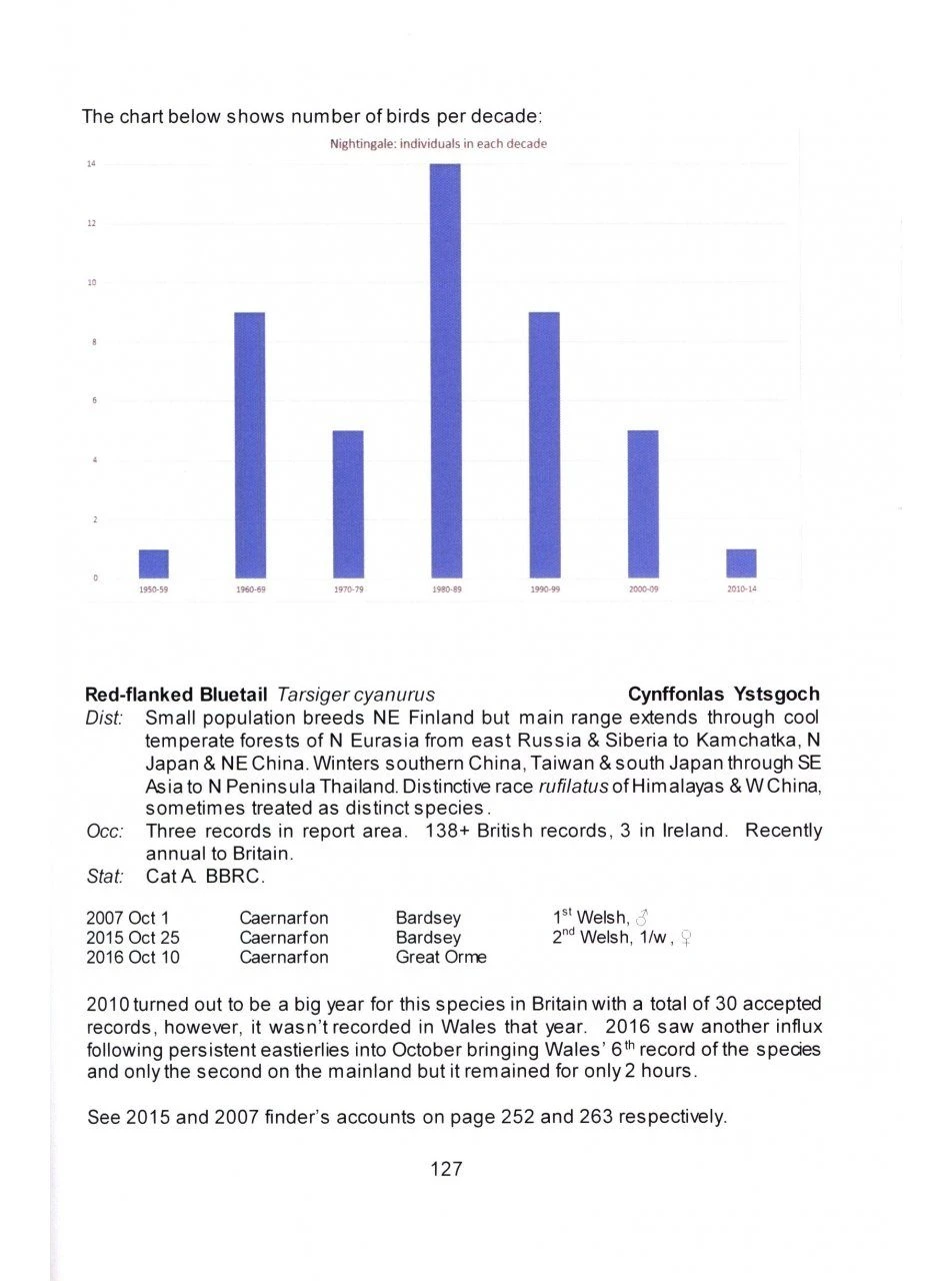 Scarce And Rare Birds In North Wales 5 Scarce And Rare Birds In North Wales - Image 3