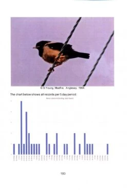 Scarce And Rare Birds In North Wales 10 Scarce And Rare Birds In North Wales -Wildlife Professional Books 241415 3