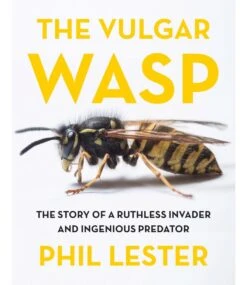 The Vulgar Wasp