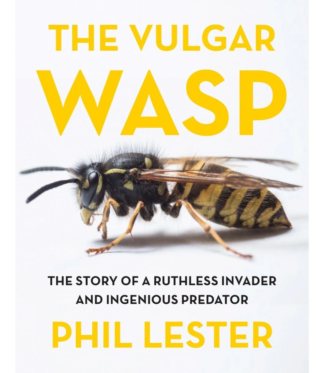 The Vulgar Wasp 3 The Vulgar Wasp