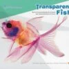 Transparent Fish 1 Transparent Fish -Wildlife Professional Books 241513