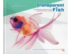 Transparent Fish