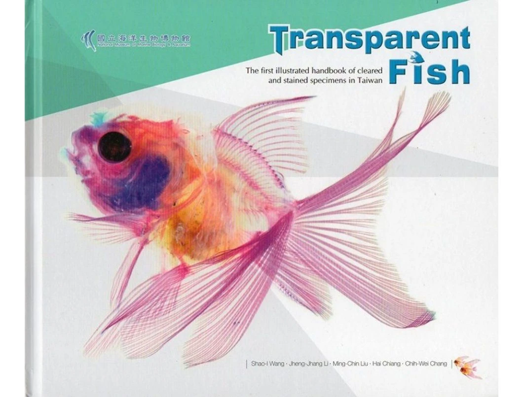 Transparent Fish 3 Transparent Fish