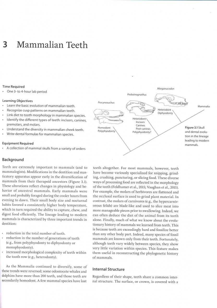 Mammalogy Techniques 4 Mammalogy Techniques - Image 2