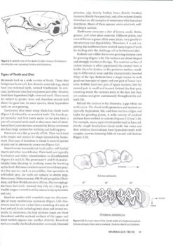 Mammalogy Techniques 16 Mammalogy Techniques -Wildlife Professional Books 241709 4