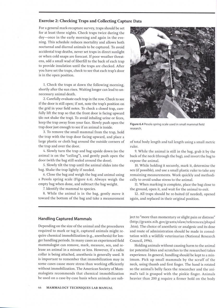 Mammalogy Techniques 10 Mammalogy Techniques - Image 8