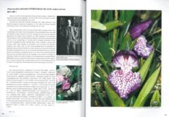 Orchids Of Huanglong [English / Chinese] -Wildlife Professional Books 241898 4