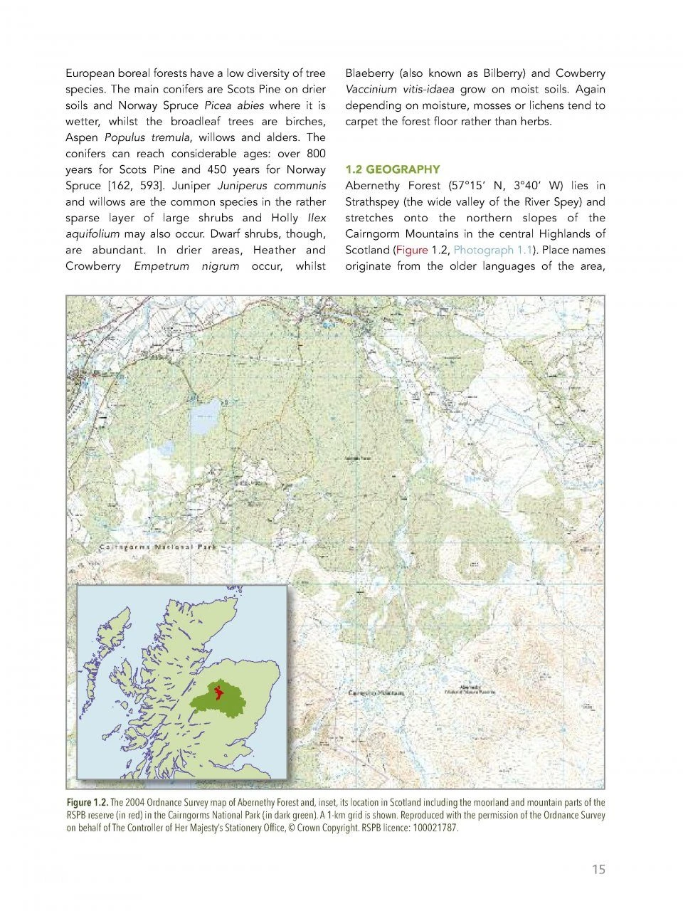 Abernethy Forest 4 Abernethy Forest - Image 2
