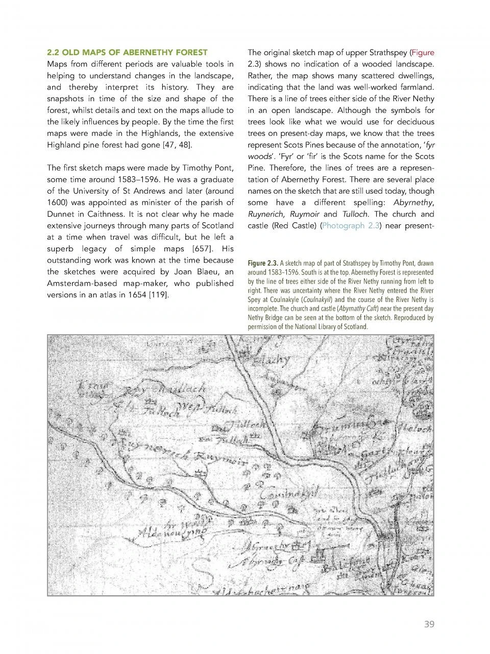 Abernethy Forest 6 Abernethy Forest - Image 4