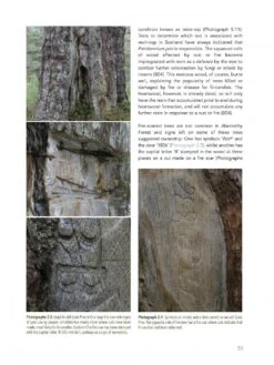 Abernethy Forest 18 Abernethy Forest -Wildlife Professional Books 242040 04