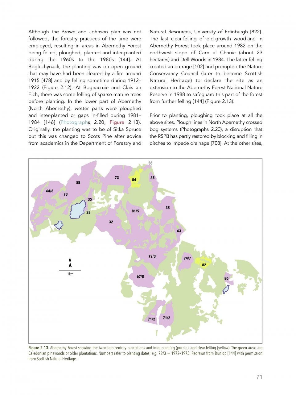 Abernethy Forest 8 Abernethy Forest - Image 6